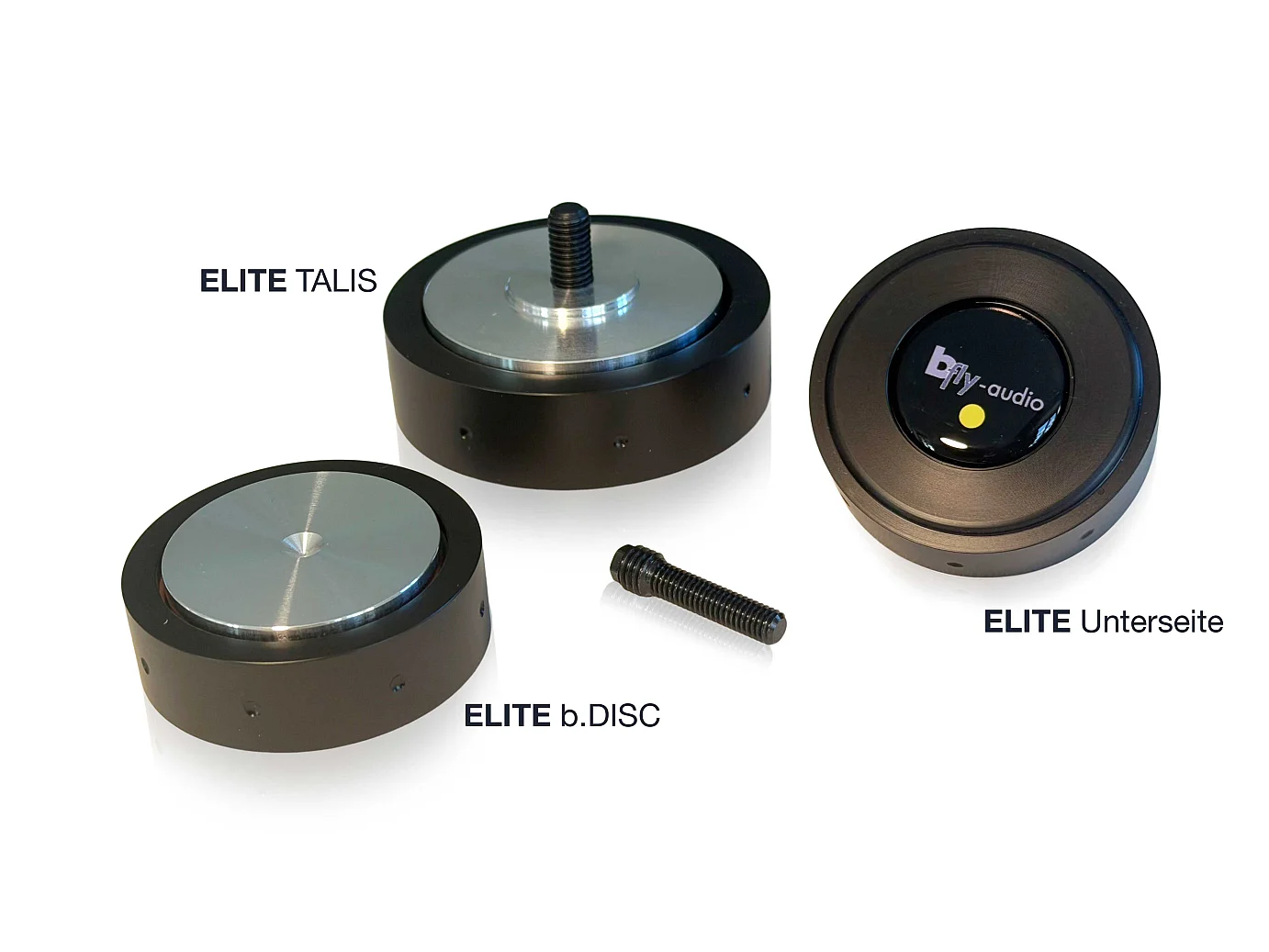 ELITE Gruppe Talis b.DISC mirror quer Text WEB